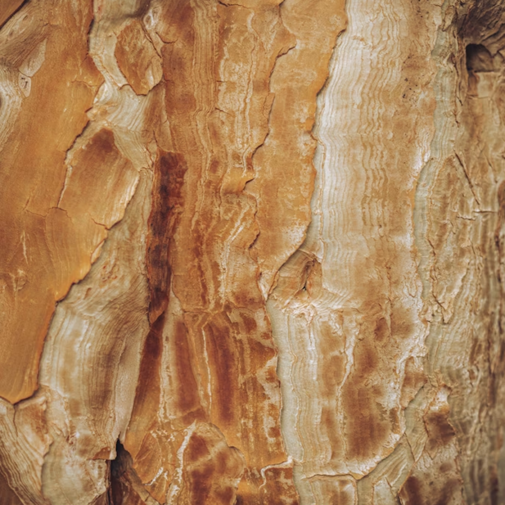 Textured Wood